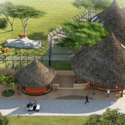 inweg-realizacja-pawilon-lwow-i-surykatek
