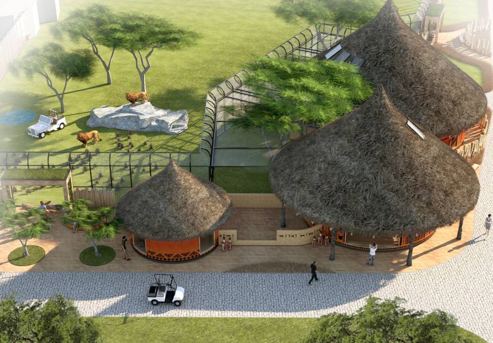 inweg-realizacja-pawilon-lwow-i-surykatek